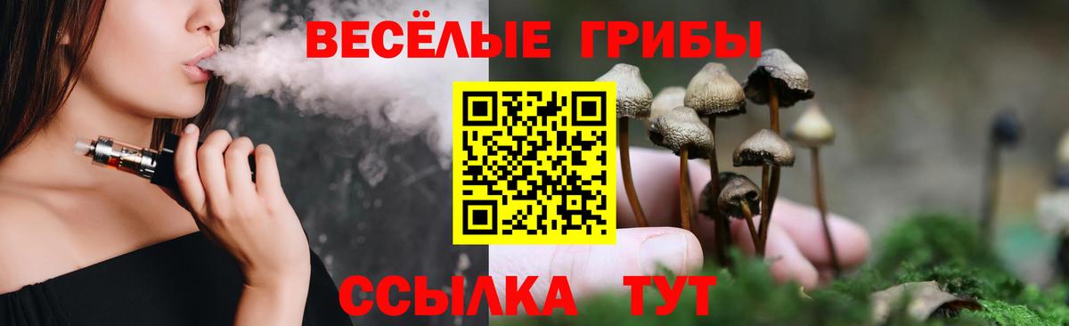 Галлюциногенные грибы GOLDEN TEACHER  Псилоцибиновые грибы ЛСД  Вход с VPN  Заинск 